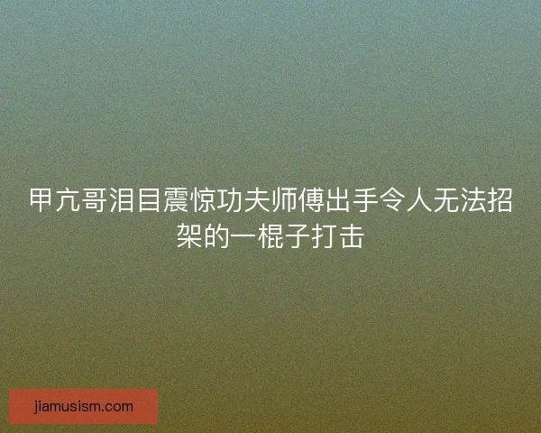 甲亢哥泪目震惊功夫师傅出手令人无法招架的一棍子打击